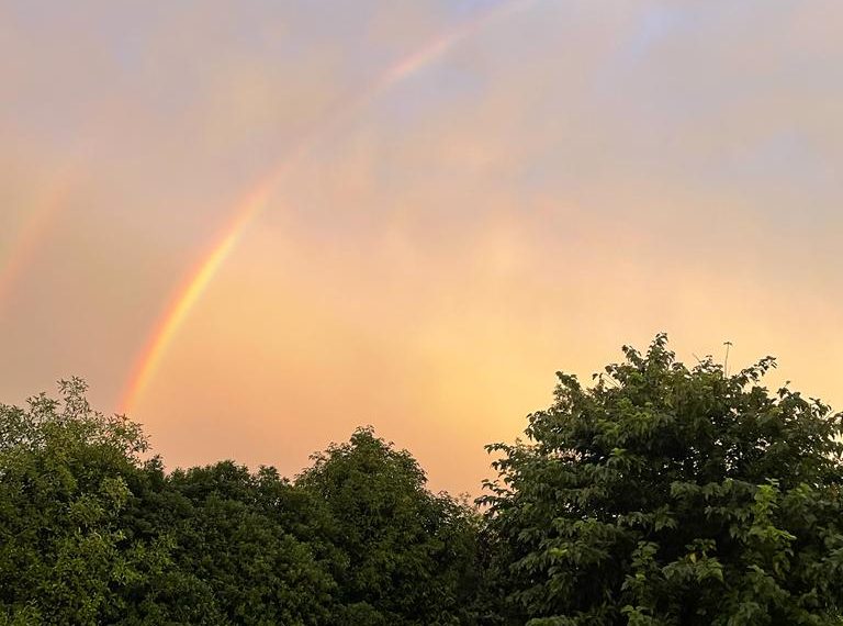 image00010