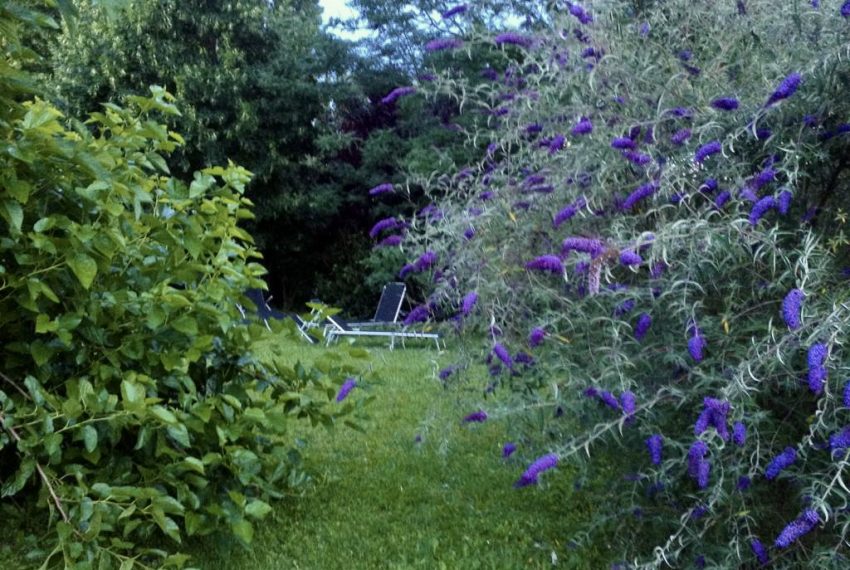 image00012