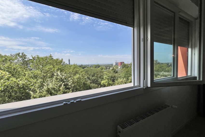 image00039